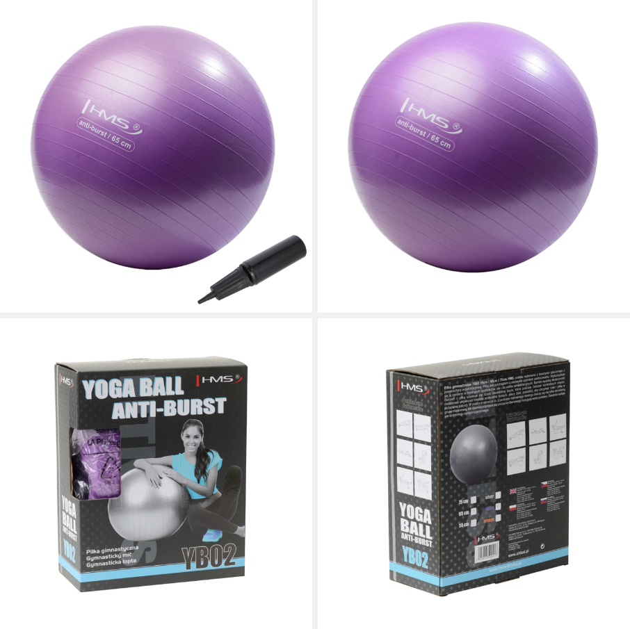 YB02 Abisal NEW 65CM PURPLE GYM BALL HMS