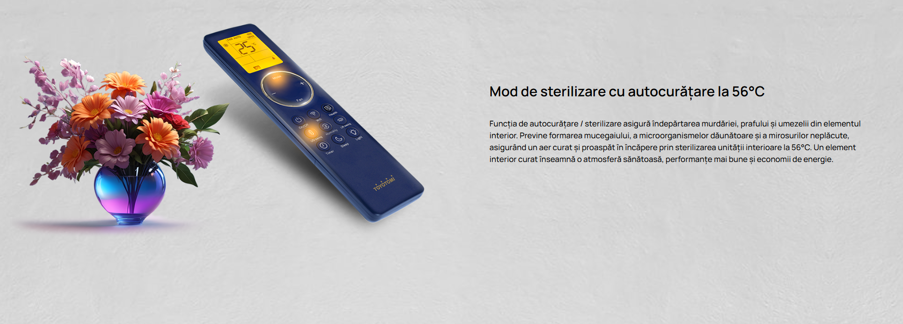 Imagine produs TERMO Control 7