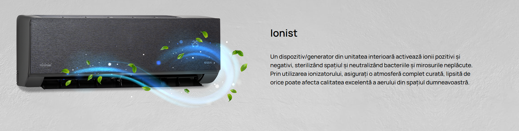 Imagine produs TERMO Control 6