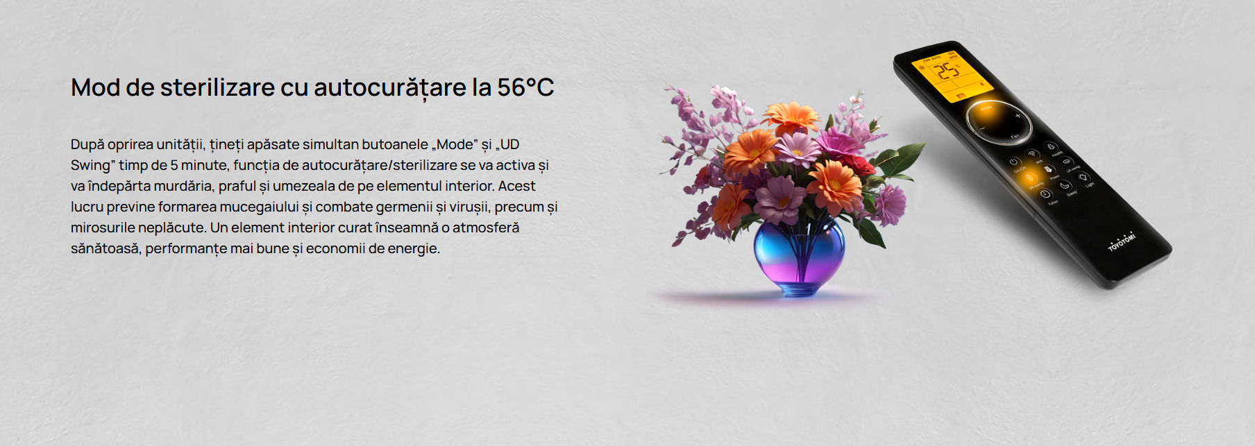 Imagine produs TERMO Control 7