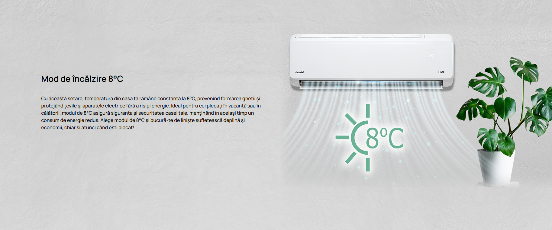 Imagine produs TERMO Control 6