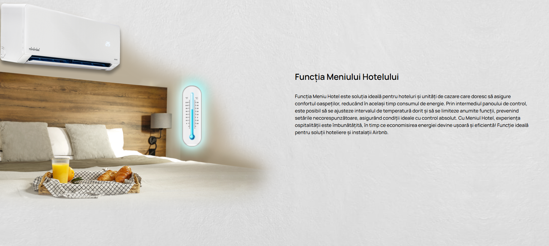 Imagine produs TERMO Control 2