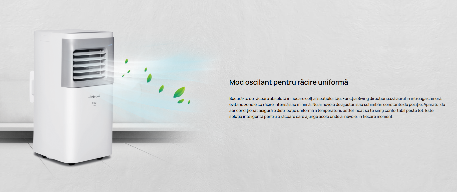 Imagine produs TERMO Control 2