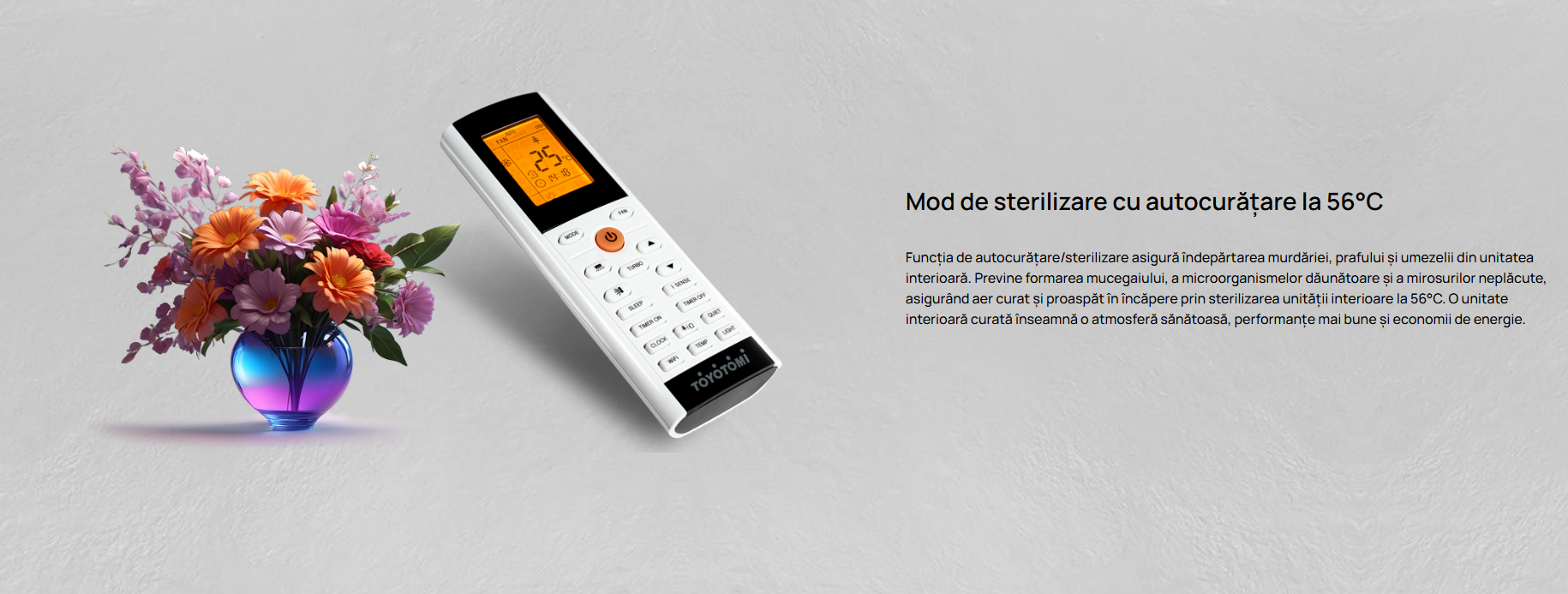 Imagine produs TERMO Control 4