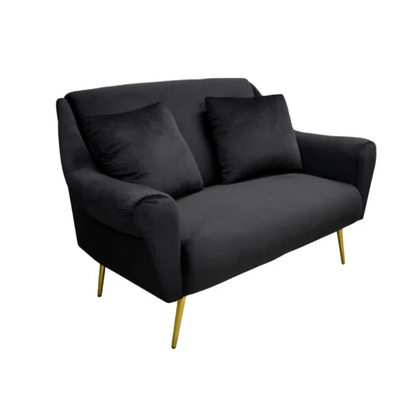 Диван GLORIOSA 2 Black Диван GLORIOSA 2 Black – это роскошь и изысканность для вашего интерьера. С прочным корпусом из фанеры и мягкой обивкой из бархата, он обеспечивает комфорт и стиль. Идеальные размеры и утонченный дизайн делают его центром внимания в любом пространстве.