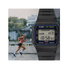 Часы Casio Collection F-B100W-1AEF Часы Casio Collection F-B100W-1AEF