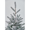 Brazi artificiali Nordman Snow | 2.1m |