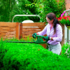 Foarfecă de tuns gard viu Bosch EasyHedgeCut 55 (0600847C02) Foarfecă de tuns gard viu Bosch EasyHedgeCut 55 (0600847C02)