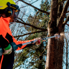 Duza pentru taiere pentru arbuști Metabo MA-MS 25 (601727850) Duza pentru taiere pentru arbuști Metabo MA-MS 25 (601727850)