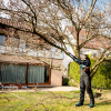 Duza pentru taiere pentru arbuști Metabo MA-MS 25 (601727850) Duza pentru taiere pentru arbuști Metabo MA-MS 25 (601727850)