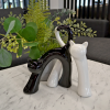Set Suvenire PISICI White/Black