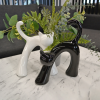 Set Suvenire PISICI White/Black
