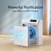 Очиститель воздуха Evoair HOMI P300, CADR 300 м³/ч, WI-FI, фильтр True HEPA Очиститель воздуха Evoair HOMI P300, CADR 300 м³/ч, WI-FI, фильтр True HEPA