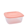 167013 Контейнер для продуктов ALEANA, квадратный, 0.93 л