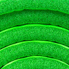 Коврик SPOKEY Yoga SOFTMATT 838320 Коврик SPOKEY Yoga SOFTMATT 838320