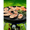 Гриль Cadac Carri Chef 50 BBQ Гриль Cadac Carri Chef 50 BBQ