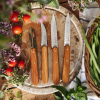 Набор кухонных ножей Opinel Box The Essentials Olivewood