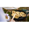 Котелок Petromax Dutch Oven ft9