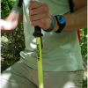 Треккинговые палки Masters Ranger lime Треккинговые палки Masters Ranger lime