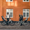 Scaun Thule Yepp Mini 2 agave