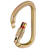 Carabinieră Petzl Vulcan Screw-Lock Carabinieră Petzl Vulcan Screw-Lock