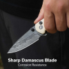 Cuțit pliabil, CIVIVI, Faeger C24031-DS1, lamă Damascus 2.98 inch, mâner G10 ivoire, blocare cu buton