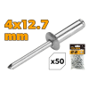 Nituri aluminiu 4x12,7mm Tolsen Nituri aluminiu 4x12,7mm Tolsen
