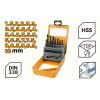Set 19 burghii pe metal HSS-R 1-10mm Tolsen Set 19 burghii pe metal HSS-R 1-10mm Tolsen