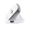Mouse ergonomic wireless Trust Bayo+ / 2.4GHz/ Bluetooth/ White