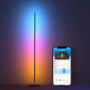 Торшер GOVEE RGBICW Floor Lamp, Wi-Fi + BT, Multicolor + Extra White LEDs Торшер GOVEE RGBICW Floor Lamp, Wi-Fi + BT, Multicolor + Extra White LEDs