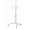 Suport de podea 37” - 70”, Gembird ”TVS-70T-02-W”, White Suport de podea 37” - 70”, Gembird ”TVS-70T-02-W”, White