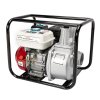Мотопомпа Micul Fermier 3 WP 60