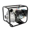 Мотопомпа Micul Fermier 3 WP 60