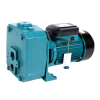 Поверхностный насос 1.5кВт 45м Micul Fermier DP750A