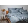 Set de lenjerie pentru pat TEP Stripe Satin 200 x 220 cm Lunar