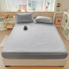 Husa de protecție Softica 180 x 200 cm Light Grey Husa de protecție Softica 180 x 200 cm Light Grey