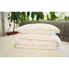 Комплект Одеяло + 1 подушка Welpy Aloe Vera 145 x 210 см