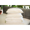 Set Plapuma + 2 perne Welpy Aloe Vera 200 x 220 cm
