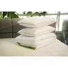 Set Plapuma + 2 perne Welpy Aloe Vera 200 x 220 cm