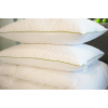 Set Plapuma + 2 perne Welpy Aloe Vera 200 x 220 cm