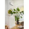 Кондиционер Daikin Sensira FTXС50E / RXC50E