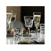 Set 6 pocale pentru sampanie Etna, 190ml