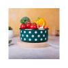 Контейнер эмалированный Green Dots 16 см, 1.3 л, крышка пластик Контейнер эмалированный Green Dots 16 см, 1.3 л, крышка пластик