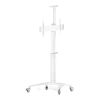 Подставка под телевизор на ножке Reflecta TV Stand 70VCP-Shelf, White, Белый