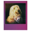 Фотобумага Polaroid Color Film for Go, 16 шт Фотобумага Polaroid Color Film for Go, 16 шт