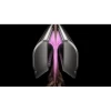Hair Airstrait Straighteners Dyson HT03 Airstrait Ceramic Pink (493296-01)