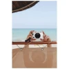 Camera Foto Instant Leica Sofort 2, White Camera Foto Instant Leica Sofort 2, White