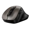 Беcпроводная мышь Genius Ergo 9000S, Champagne Titanium Беcпроводная мышь Genius Ergo 9000S, Champagne Titanium