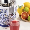 Juicer Citrus Ariete 413 CAPRI Juicer Citrus Ariete 413 CAPRI