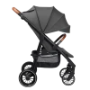 Прогулочная коляска Caretero Elma, Темно-Серый